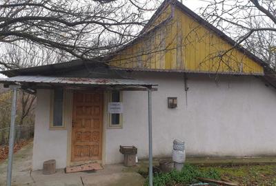 Casă cu 3 camere în Buhăiești - 3