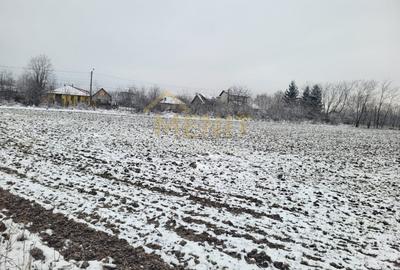 Teren Construcții intravilan de 1542 mp, în Băicoi
