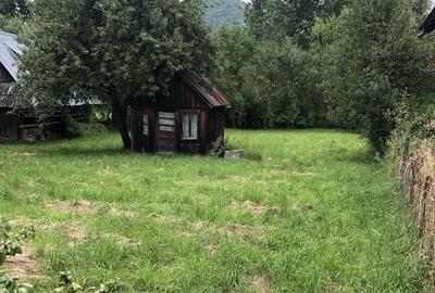 Casă cu 2 camere în Dragomirești