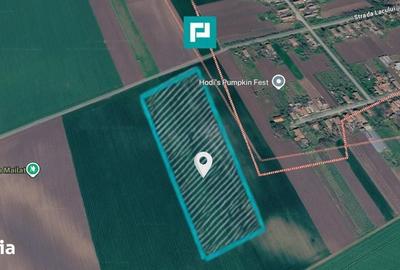 Teren de 8600 mp, în Vinga