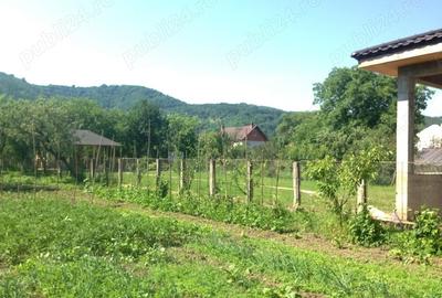 Casă cu 3 camere cu Teren 1477 Mp în Central - 5