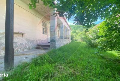 Casă cu 2 camere cu Teren 2255 Mp în Târnava - 7