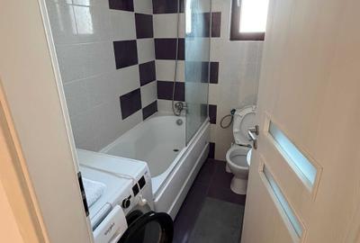 Apartament cu 2 camere decomandat în Roșu