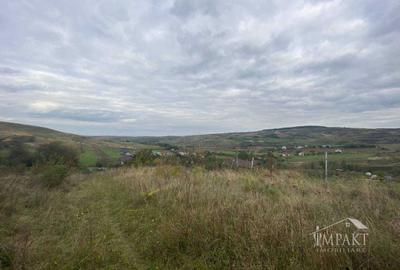 Teren de 500 mp, în Borhanci - 3