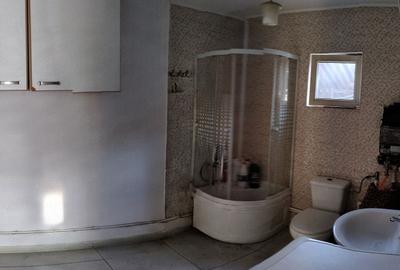 Casă cu 3 camere în Zizinca