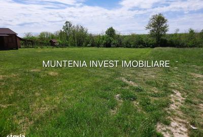 Spațiu comercial, în Albota
