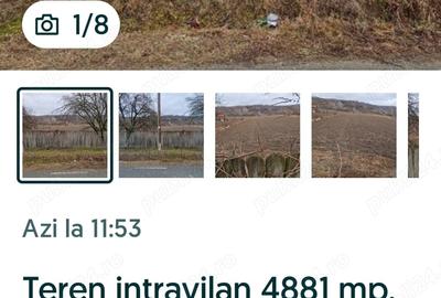 Teren de 4881 mp, în Slăvuța