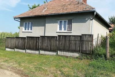 Casă cu Teren 5300 Mp în Spătac