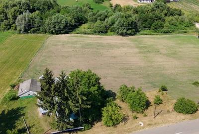 Teren agricol intravilan de 5421 mp, în Negrești (Dobreni) - 4