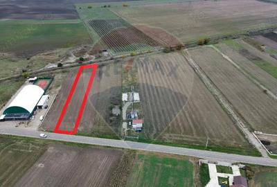 Teren de 1800 mp, în Mirceștii Vechi - 3