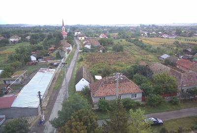 Casă cu 4 camere cu Teren 3113 Mp în Otelec - 2