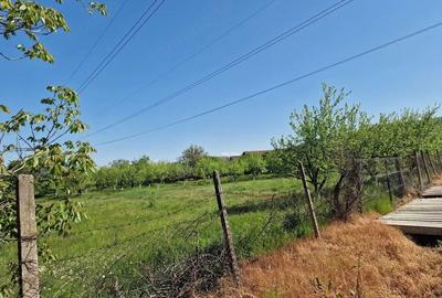 Teren de 1688 mp, în Călinești