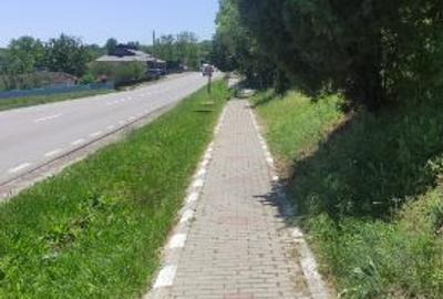 Casă cu 3 camere cu Teren 3067 Mp în Gorban - 4
