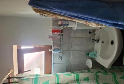Casă cu Teren 1350 Mp în Gutinaș - 2