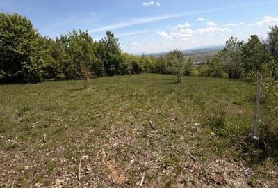 Teren de 1400 mp, în Fărcașa - 1