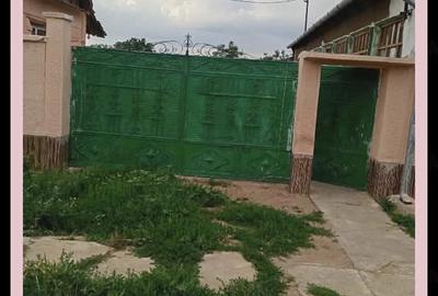 Casă cu Teren 3000 Mp în Sânnicolau Român - 2