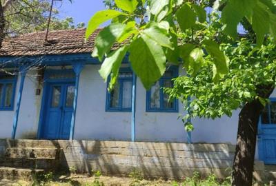 Casă cu 3 camere cu Teren 3067 Mp în Gorban - 1
