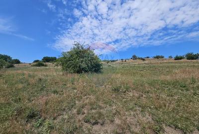 Teren agricol extravilan de 11600 mp, în Câmpenești - 4