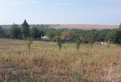 Teren de 3555 mp, în Smulți