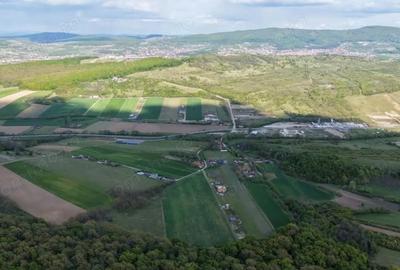 Teren de 27000 mp, în Central - 5