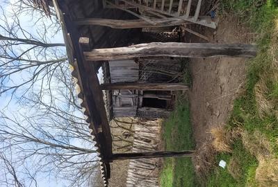 Casă cu 3 camere în Greci - 5