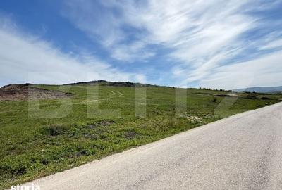 Teren de 6550 mp, în Hereclean
