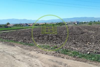 Teren agricol extravilan de 23300 mp, în Gușterița - 2