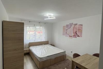 Garsonieră decomandată în Stana - 3