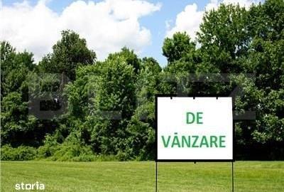 Teren de 2000 mp, în Mitocu Dragomirnei