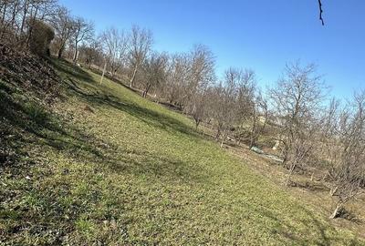 Teren de 960 mp, în Păulești - 2