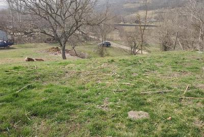 Teren de 2800 mp, în Racovițeni - 2