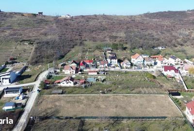Teren de 3000 mp, în Podgoria