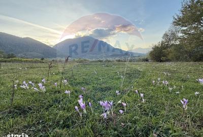 Teren de 646 mp, în Tohănița