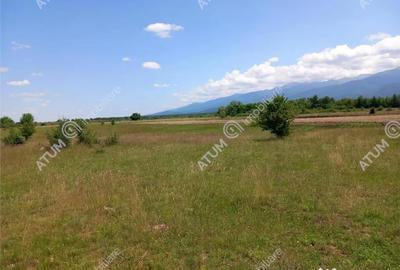 Teren de 5000 mp, în Avrig - 1