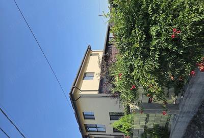 Casă cu Teren 720 Mp în Ciulnița - 1