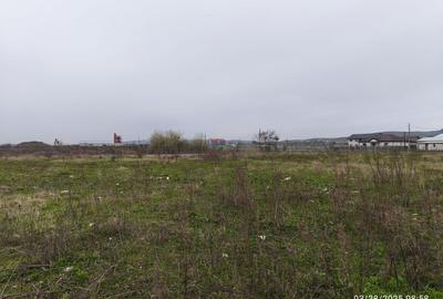 Teren Construcții intravilan de 19059 mp, în Sâncraiu de Mureș - 9