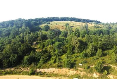 Teren de 1000 mp, în Sălicea - 3
