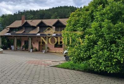 Casă cu 4 camere în Bogata - 20
