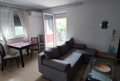 Apartament cu 2 camere nedecomandat în Giroc