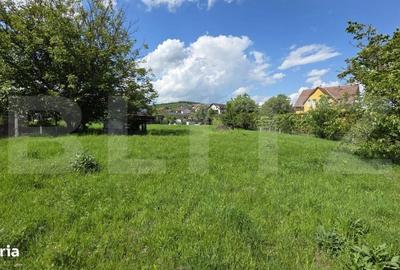 Spațiu comercial, în Sud