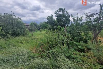 Teren Construcții intravilan de 1438 mp, în Recaș - 10
