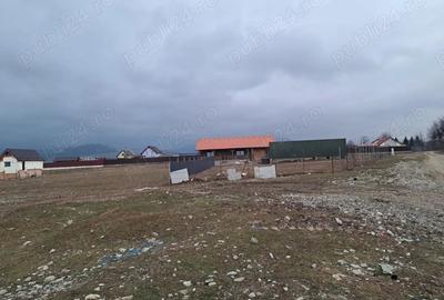 Teren de 1450 mp, în Cărpiniș