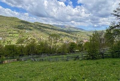 Spațiu comercial, în Valea Doftanei