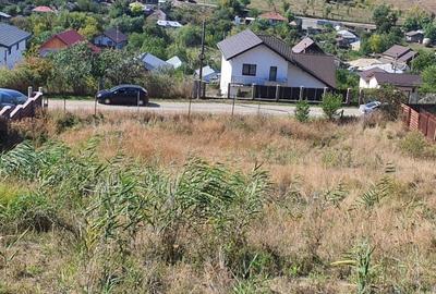 Teren de 1322 mp, în Valea Lupului - 2