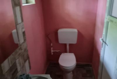 Casă individuală cu 2 camere cu Teren 1000 Mp în Ulieș - 3