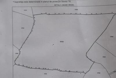 Teren de 37947 mp, în Pojorâta - 4