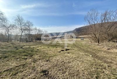 Teren Construcții intravilan de 3000 mp, în Vâlcele - 3