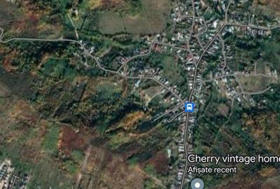 Teren de 3255 mp, în Viforâta - 9