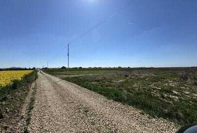 Spațiu comercial, în Livada de Bihor - 3