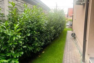 Casă cu 4 camere cu Teren 250 Mp în Sânmihaiu Român - 12